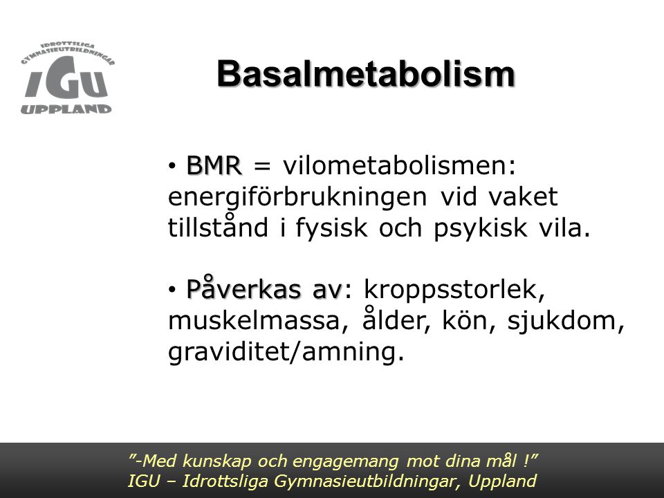 Basalmetabolism BMR = vilometabolismen: energiförbrukningen vid vaket tillstånd i fysisk och psykisk vila.