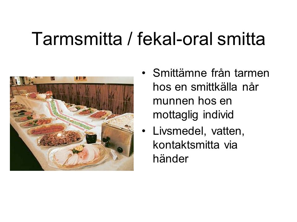 Tarmsmitta / fekal-oral smitta