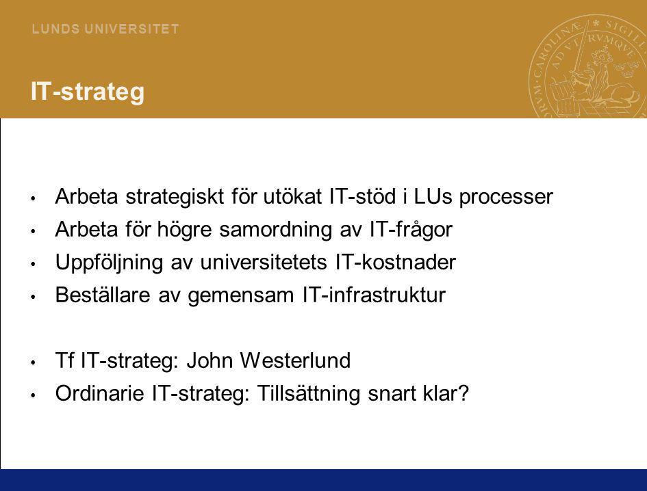 IT-strateg Arbeta strategiskt för utökat IT-stöd i LUs processer