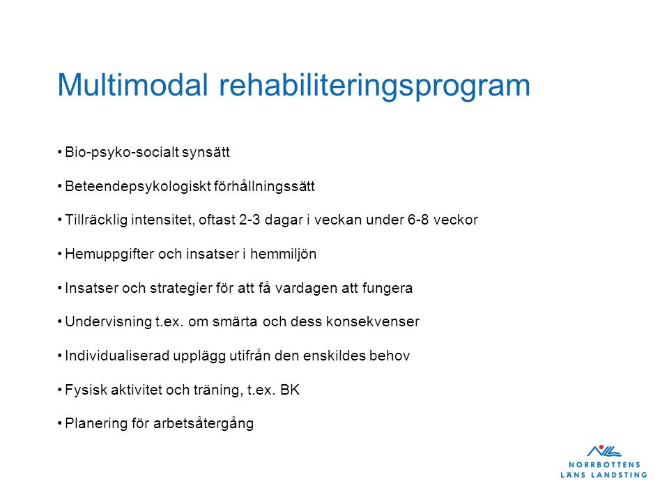 Multimodal rehabiliteringsprogram