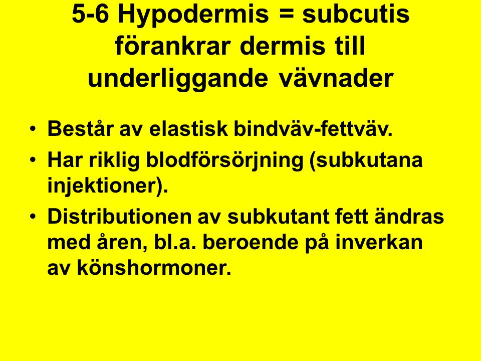 5-6 Hypodermis = subcutis förankrar dermis till underliggande vävnader