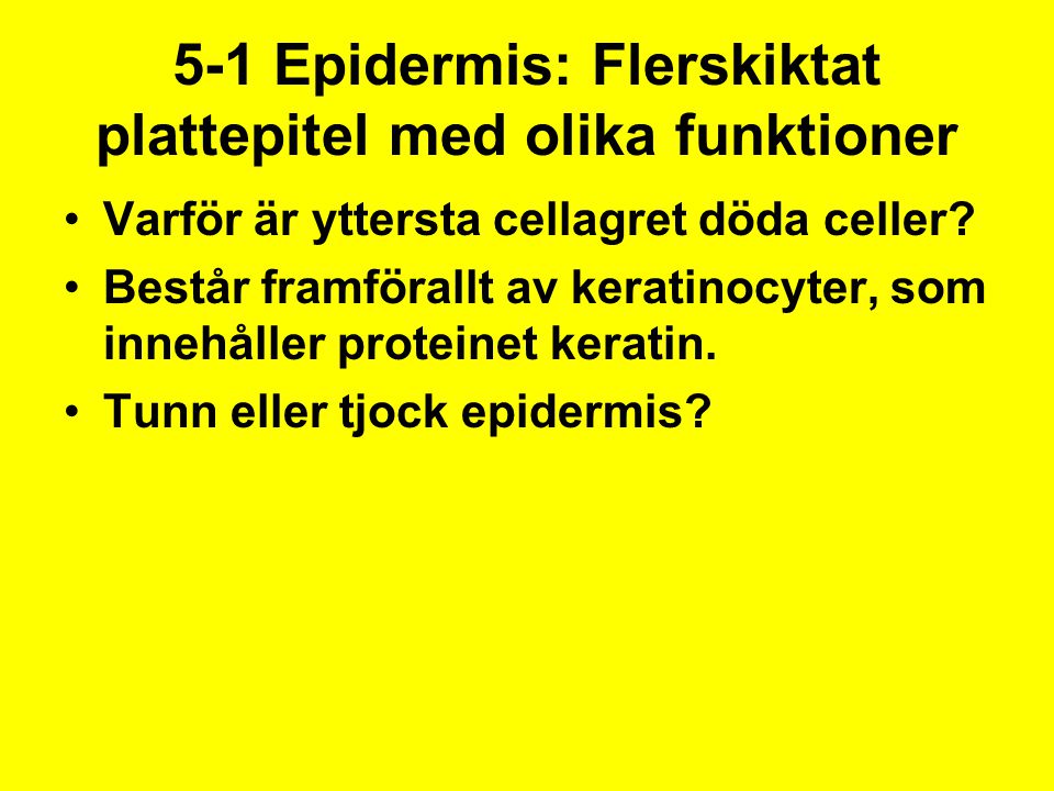 5-1 Epidermis: Flerskiktat plattepitel med olika funktioner