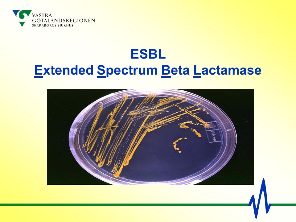 ESBL Extended Spectrum Beta Lactamase