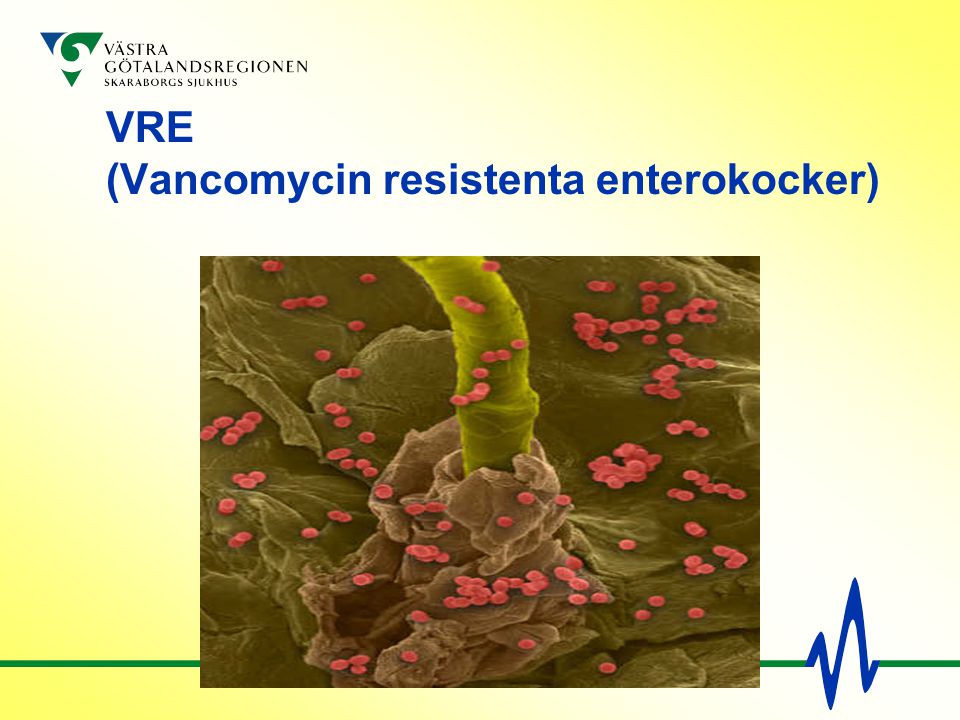 VRE (Vancomycin resistenta enterokocker)