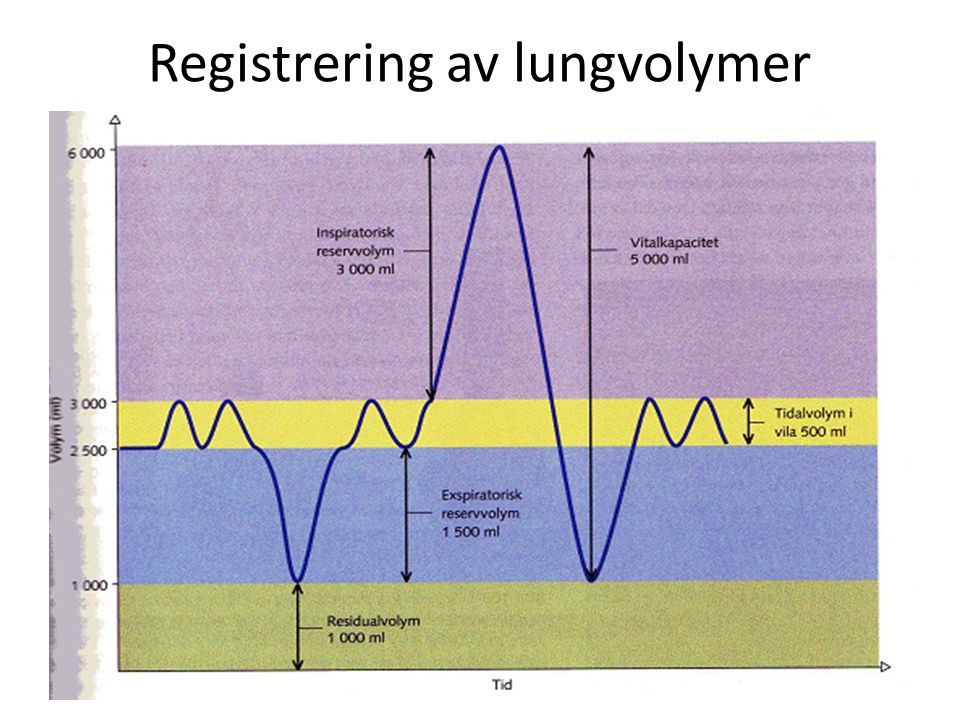 Registrering av lungvolymer