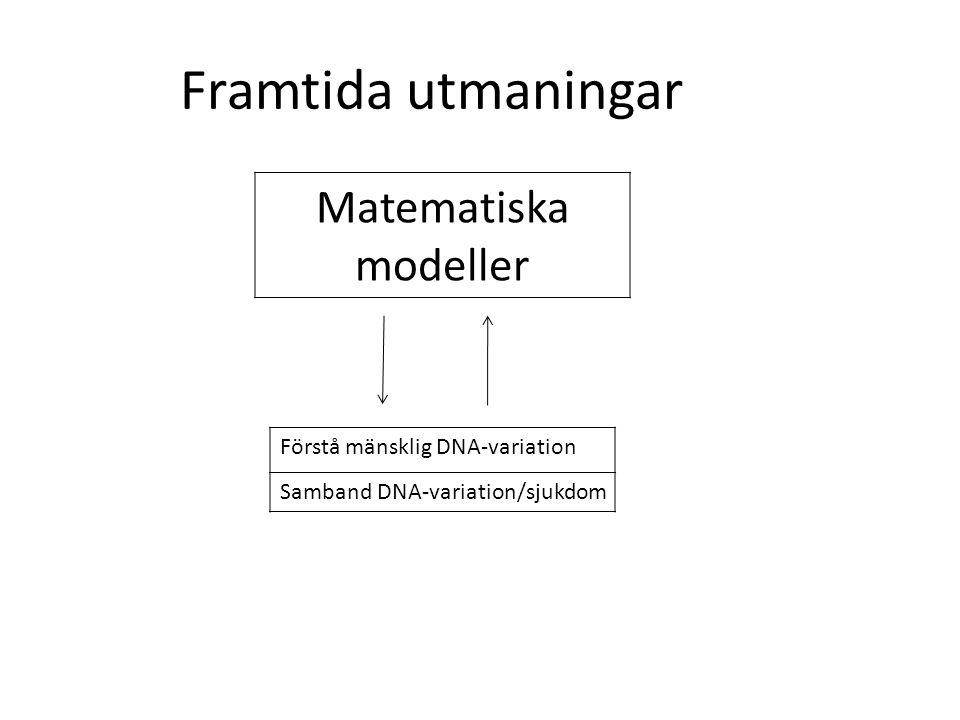Framtida utmaningar Matematiska modeller Förstå mänsklig DNA-variation