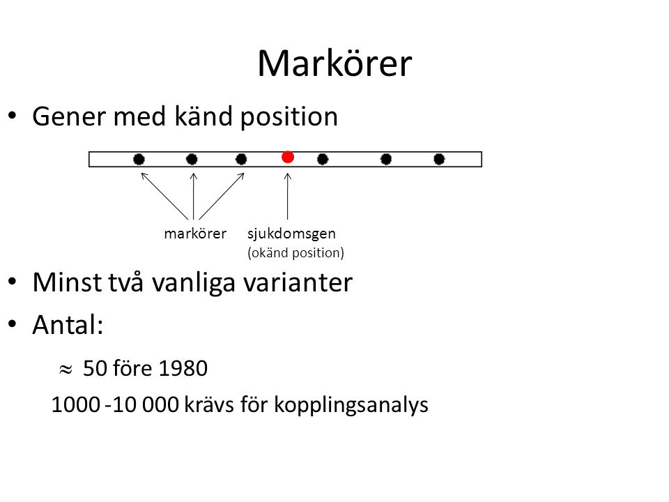 Markörer Gener med känd position Minst två vanliga varianter Antal: