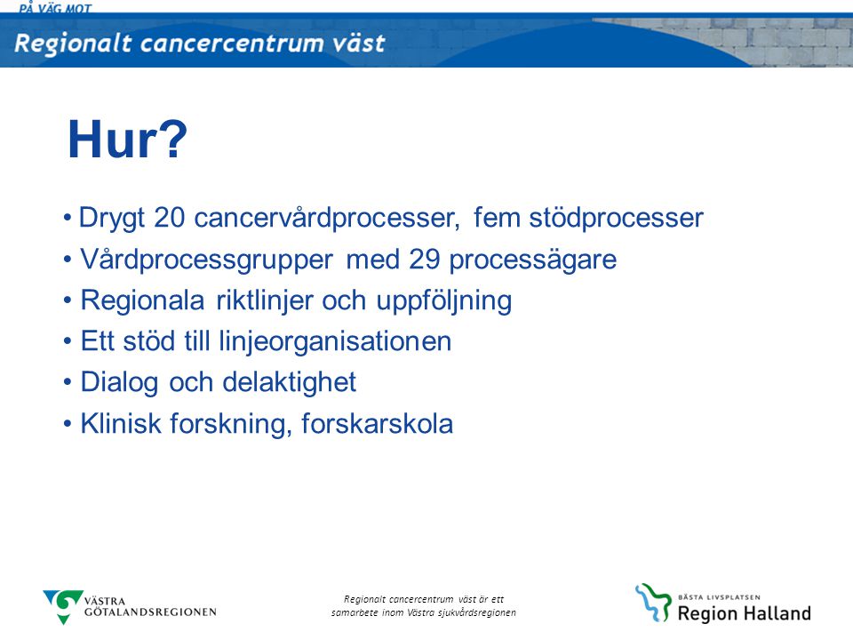 Hur Drygt 20 cancervårdprocesser, fem stödprocesser