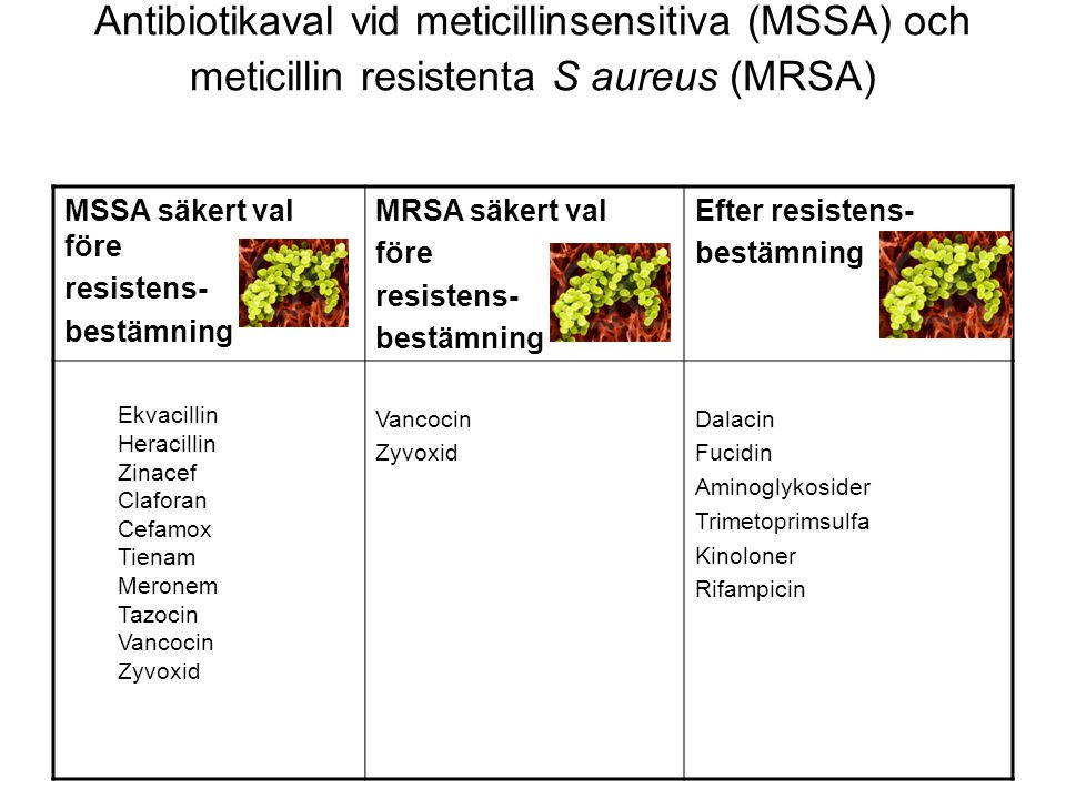 Antibiotikaval vid meticillinsensitiva (MSSA) och meticillin resistenta S aureus (MRSA)