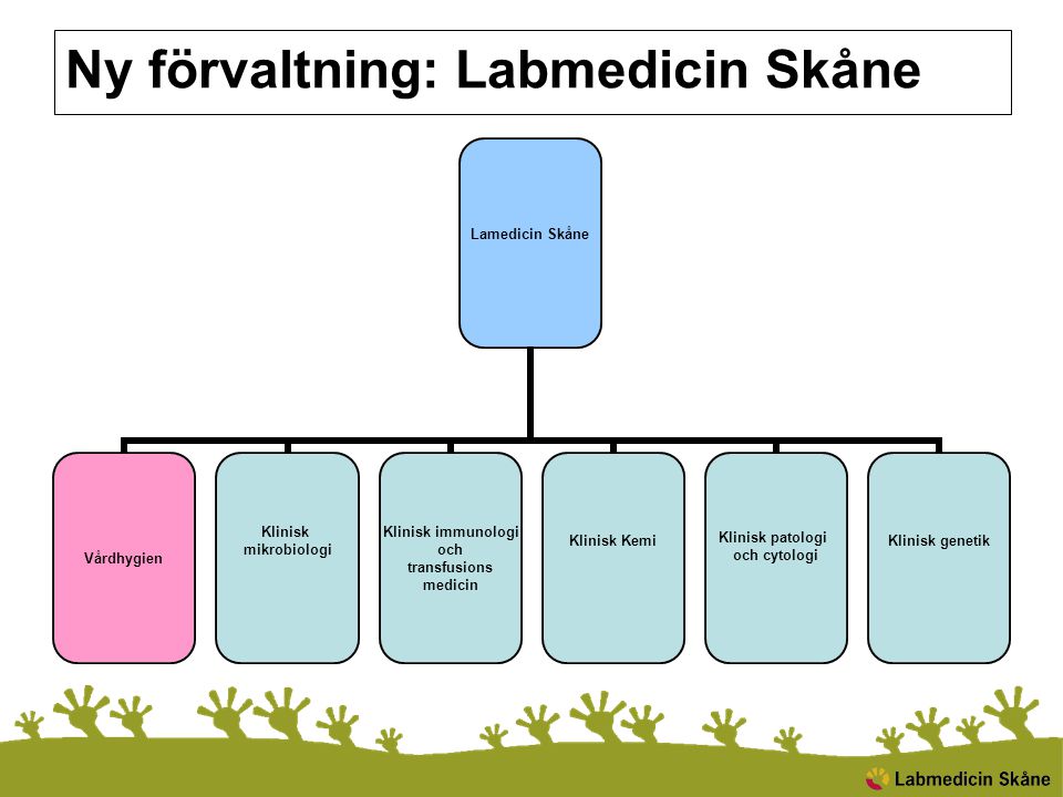 Ny förvaltning: Labmedicin Skåne