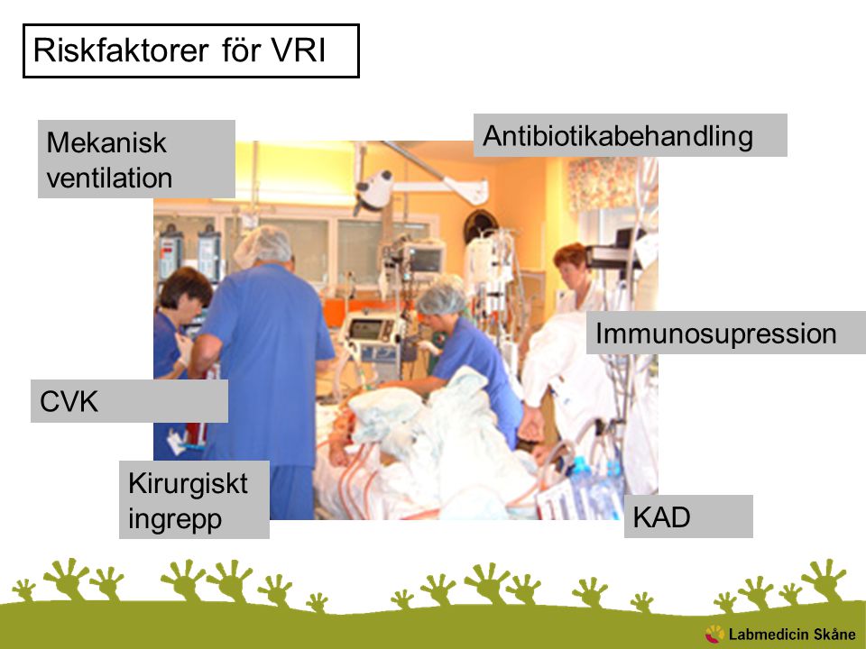 Riskfaktorer för VRI Antibiotikabehandling Mekanisk ventilation