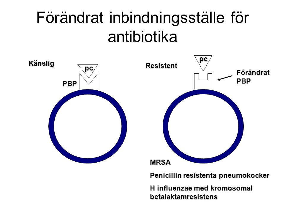 Förändrat inbindningsställe för antibiotika