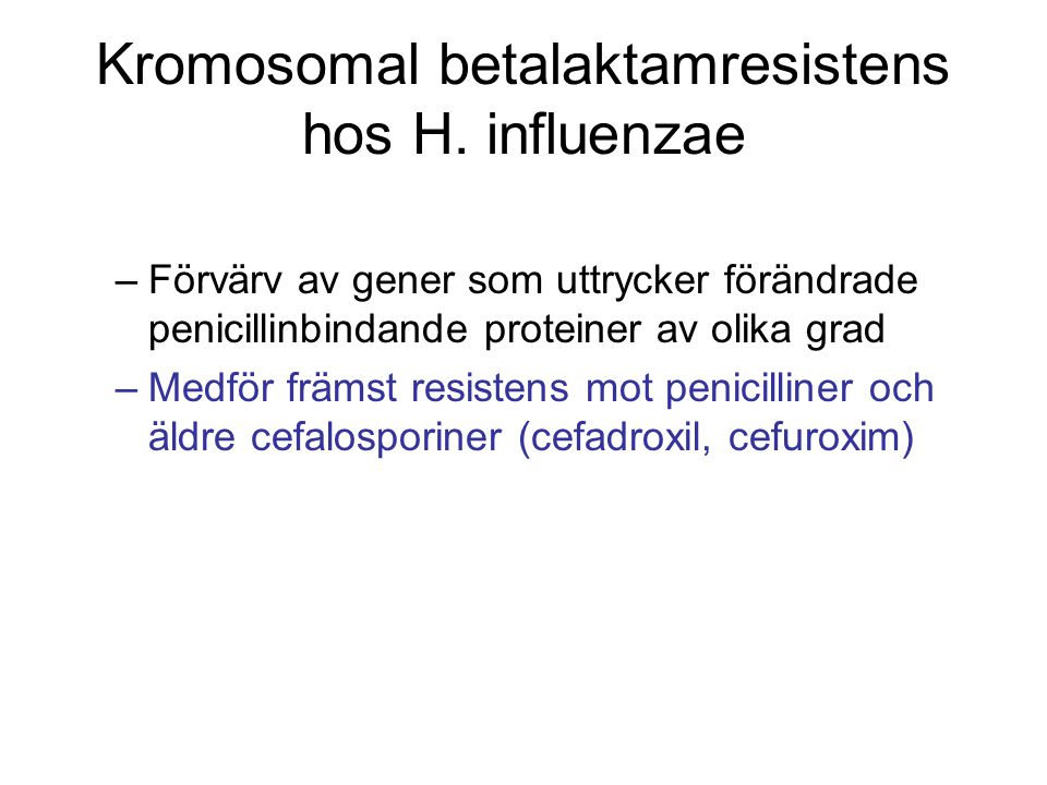 Kromosomal betalaktamresistens hos H. influenzae