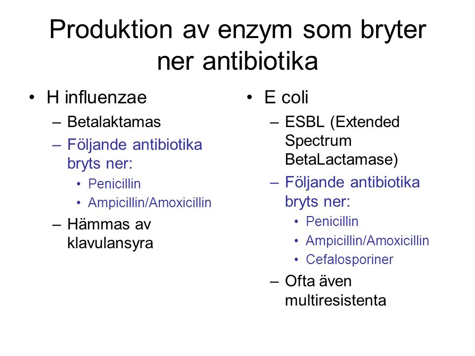 Produktion av enzym som bryter ner antibiotika
