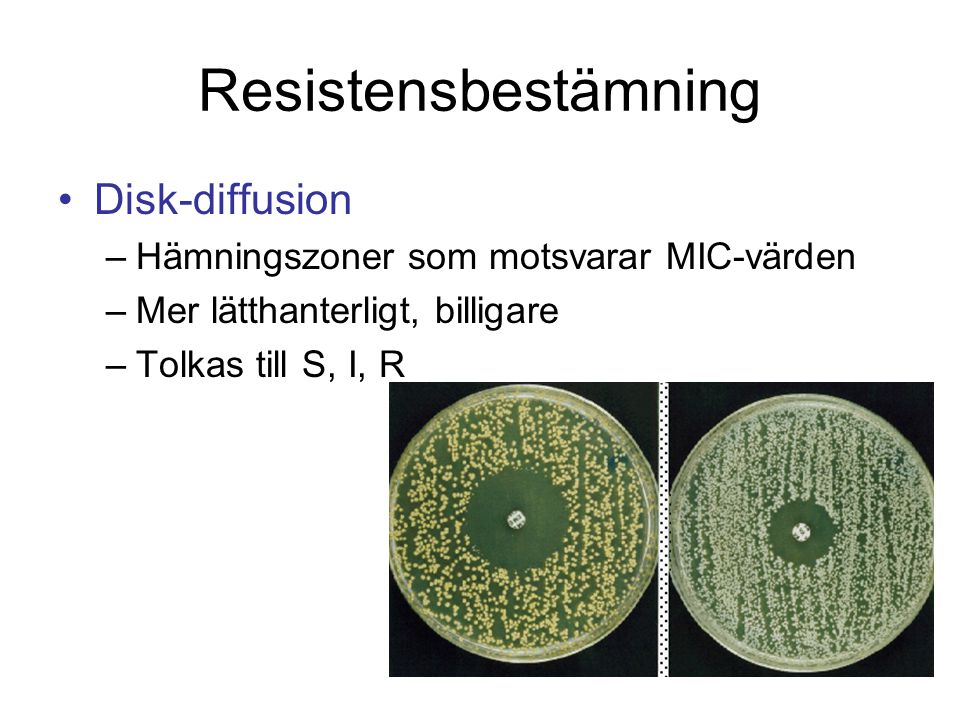 Resistensbestämning Disk-diffusion
