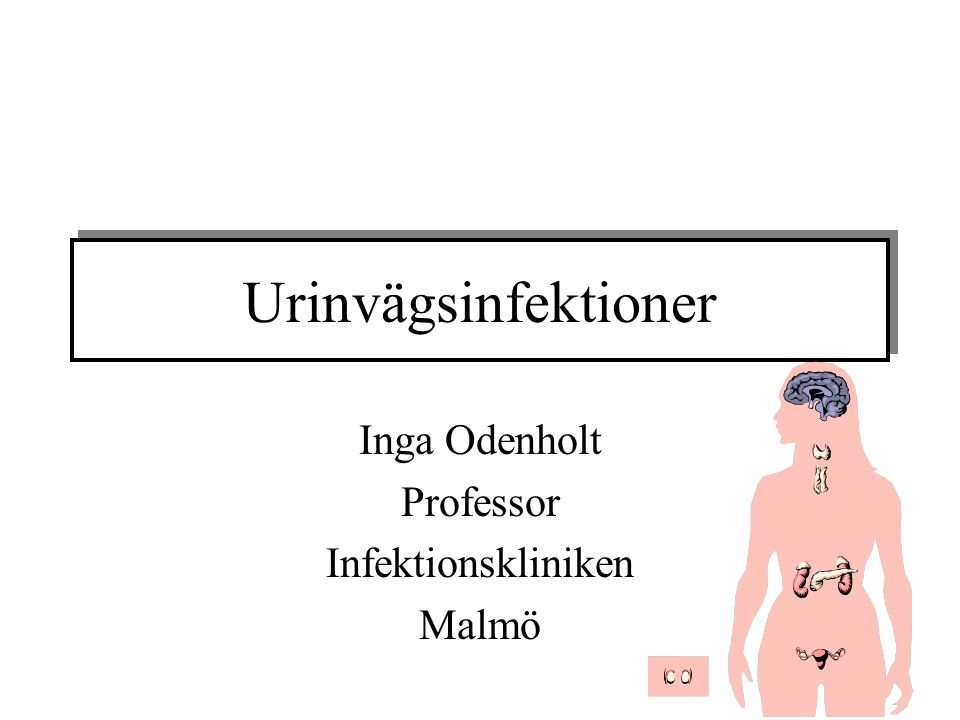 Inga Odenholt Professor Infektionskliniken Malmö