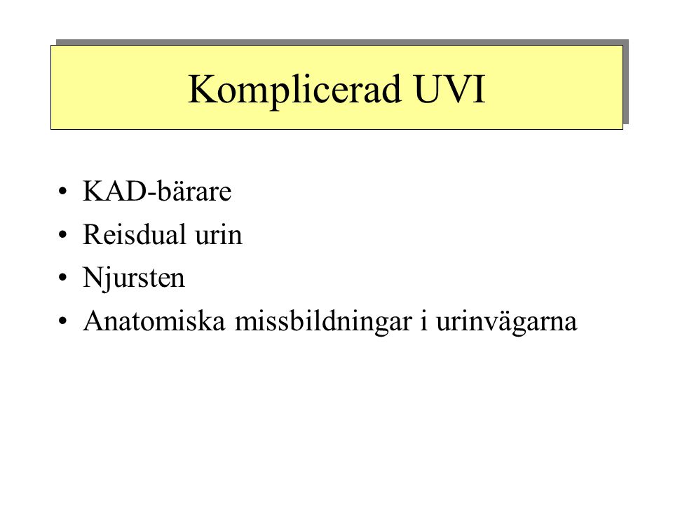 Komplicerad UVI KAD-bärare Reisdual urin Njursten