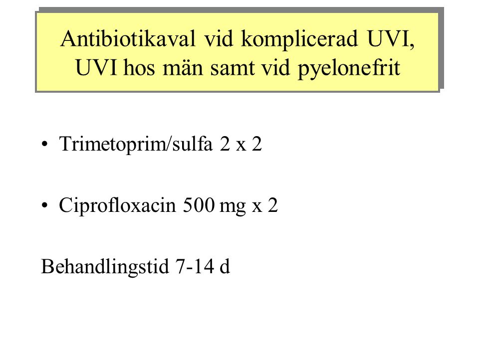 Antibiotikaval vid komplicerad UVI, UVI hos män samt vid pyelonefrit