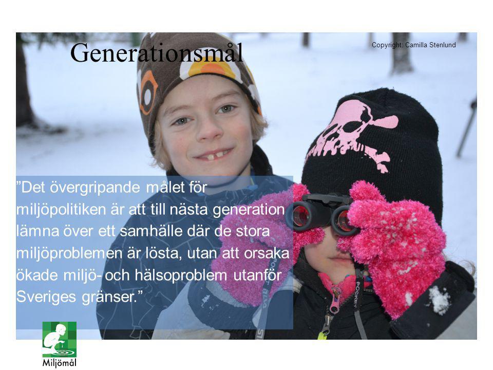 Generationsmål Copyright: Camilla Stenlund.