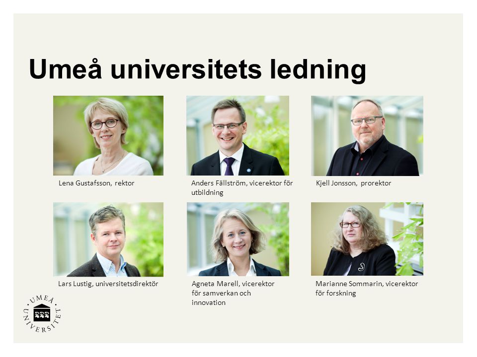 Umeå universitets ledning