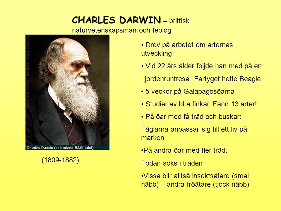 CHARLES DARWIN – brittisk naturvetenskapsman och teolog
