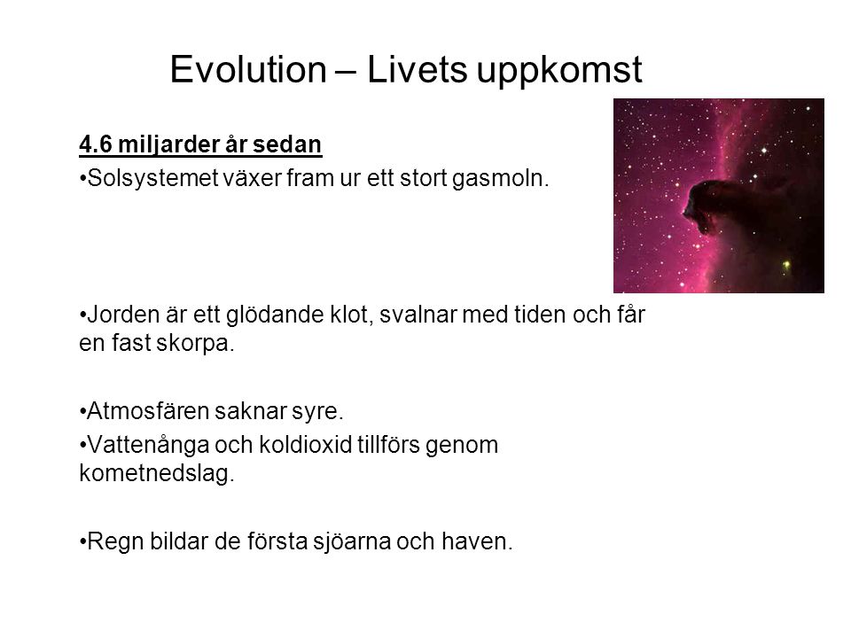 Evolution – Livets uppkomst