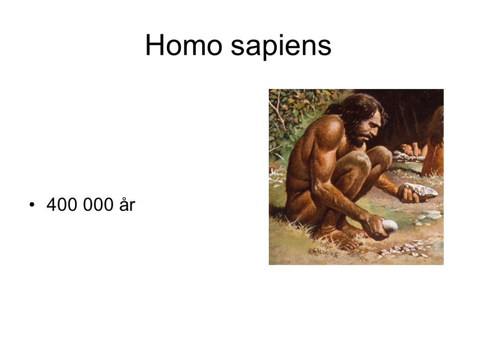 Homo sapiens år