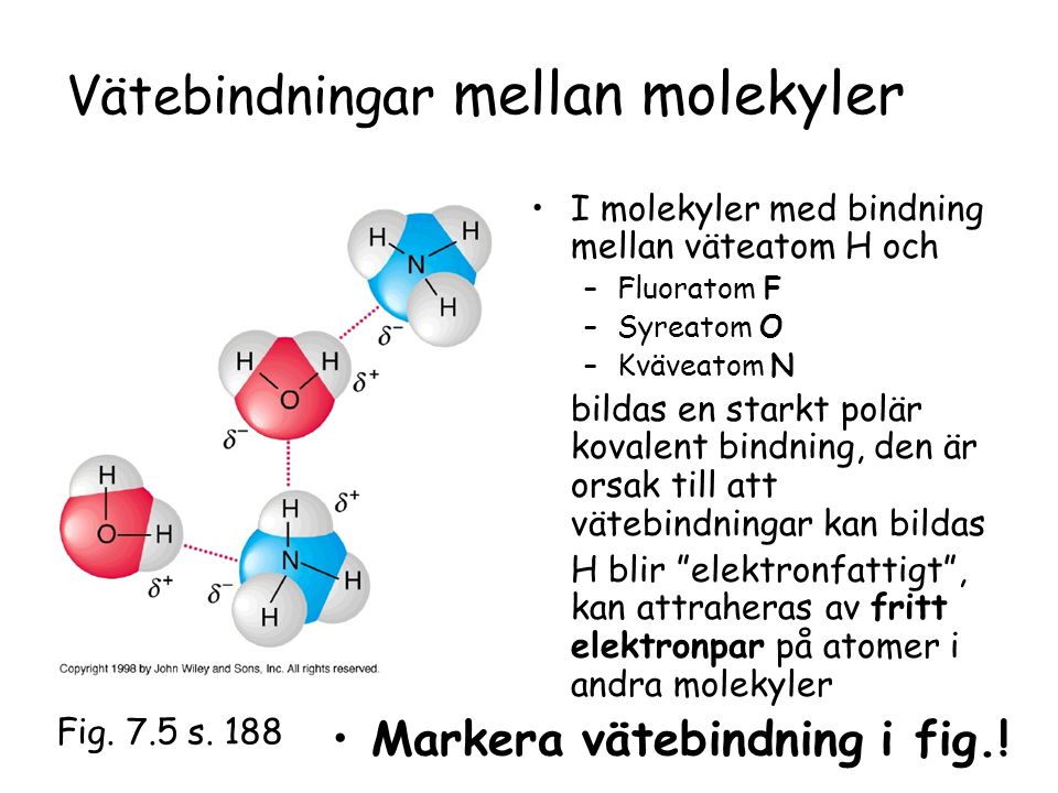 Vätebindningar mellan molekyler