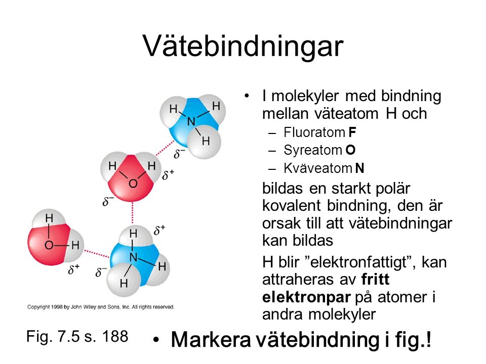 Vätebindningar Markera vätebindning i fig.!