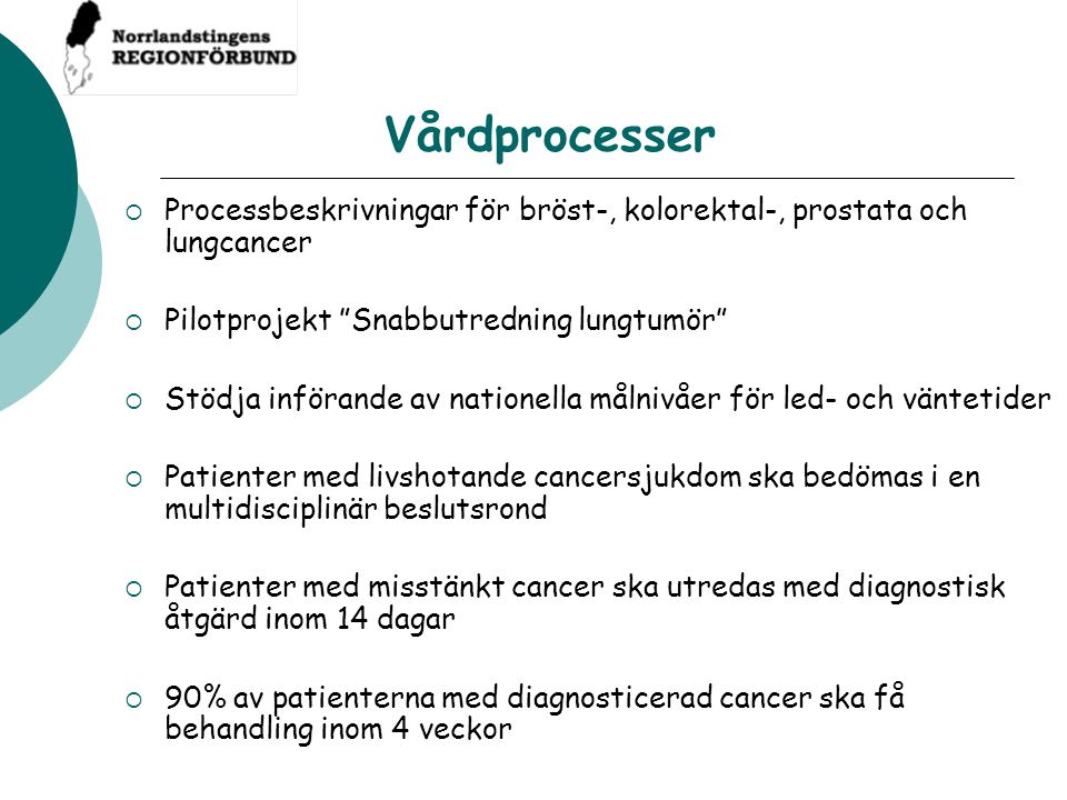 Vårdprocesser Processbeskrivningar för bröst-, kolorektal-, prostata och lungcancer. Pilotprojekt Snabbutredning lungtumör