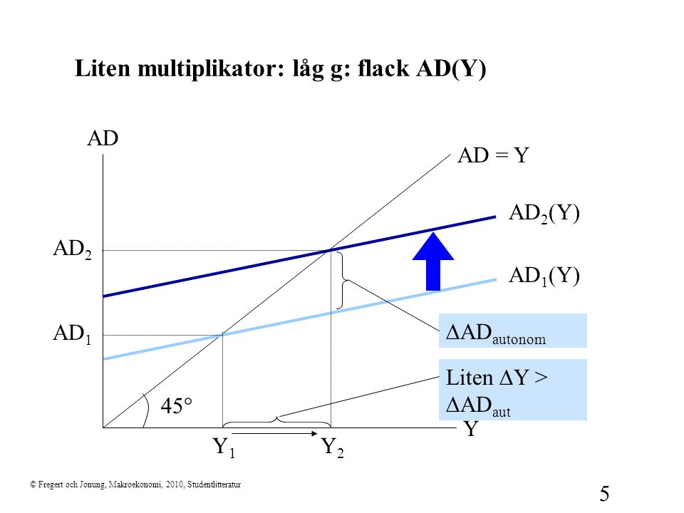 Liten multiplikator: låg g: flack AD(Y)