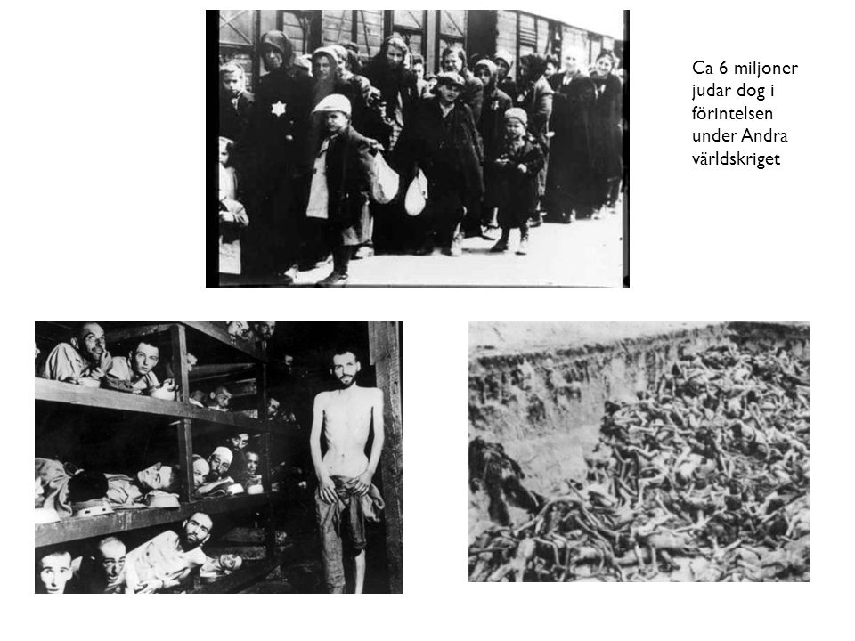 Ca 6 miljoner judar dog i förintelsen under Andra världskriget