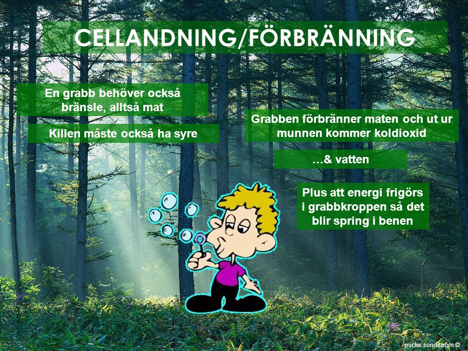 CELLANDNING/FÖRBRÄNNING