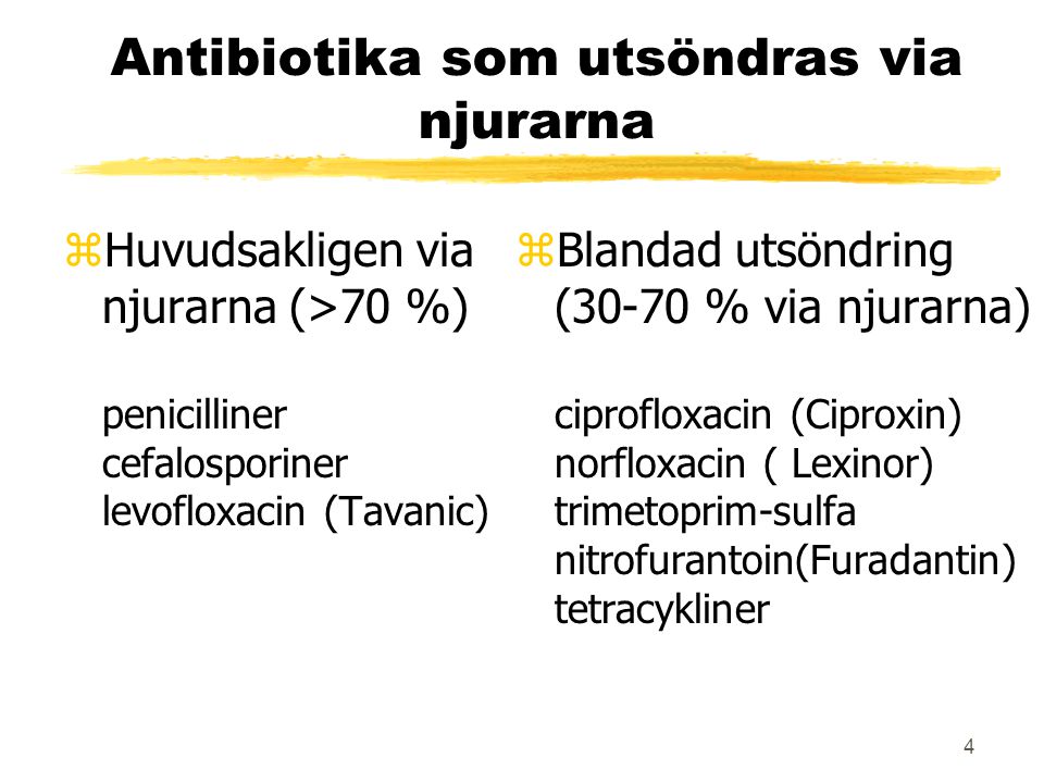 Antibiotika som utsöndras via njurarna