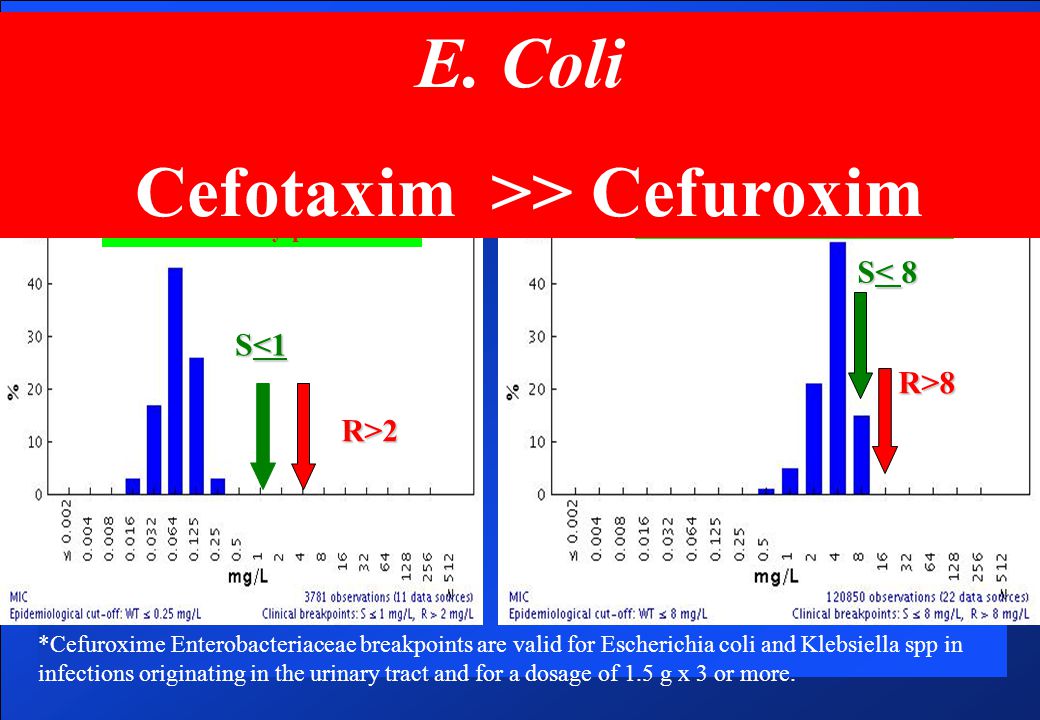 Cefotaxim eller Cefuroxim Cefotaxim >> Cefuroxim