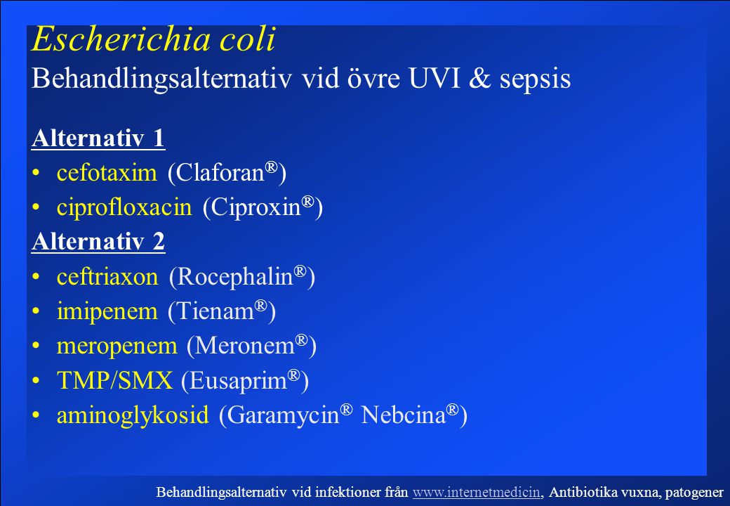 Escherichia coli Behandlingsalternativ vid övre UVI & sepsis