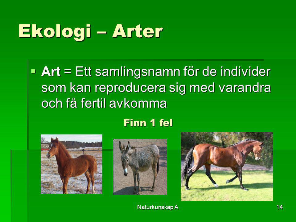 Ekologi – Arter Art = Ett samlingsnamn för de individer som kan reproducera sig med varandra och få fertil avkomma.