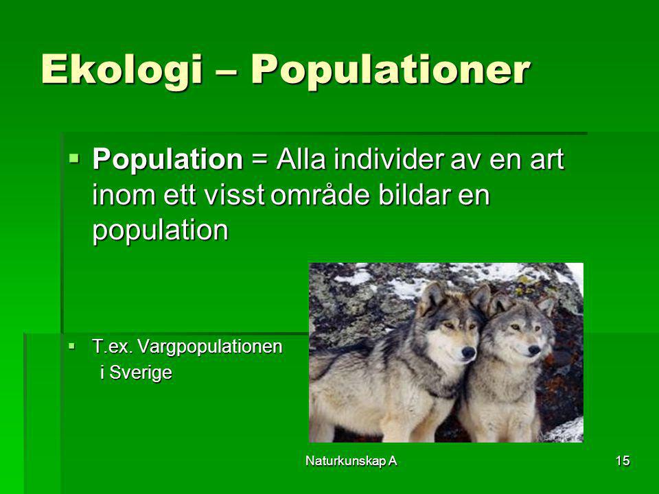 Ekologi – Populationer