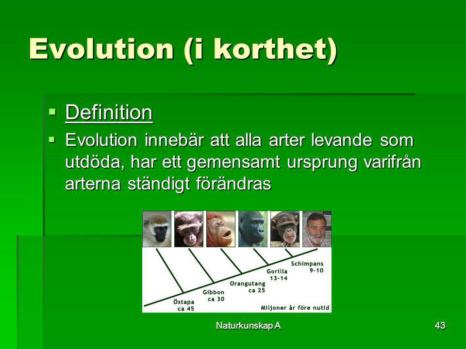 Evolution (i korthet) Definition