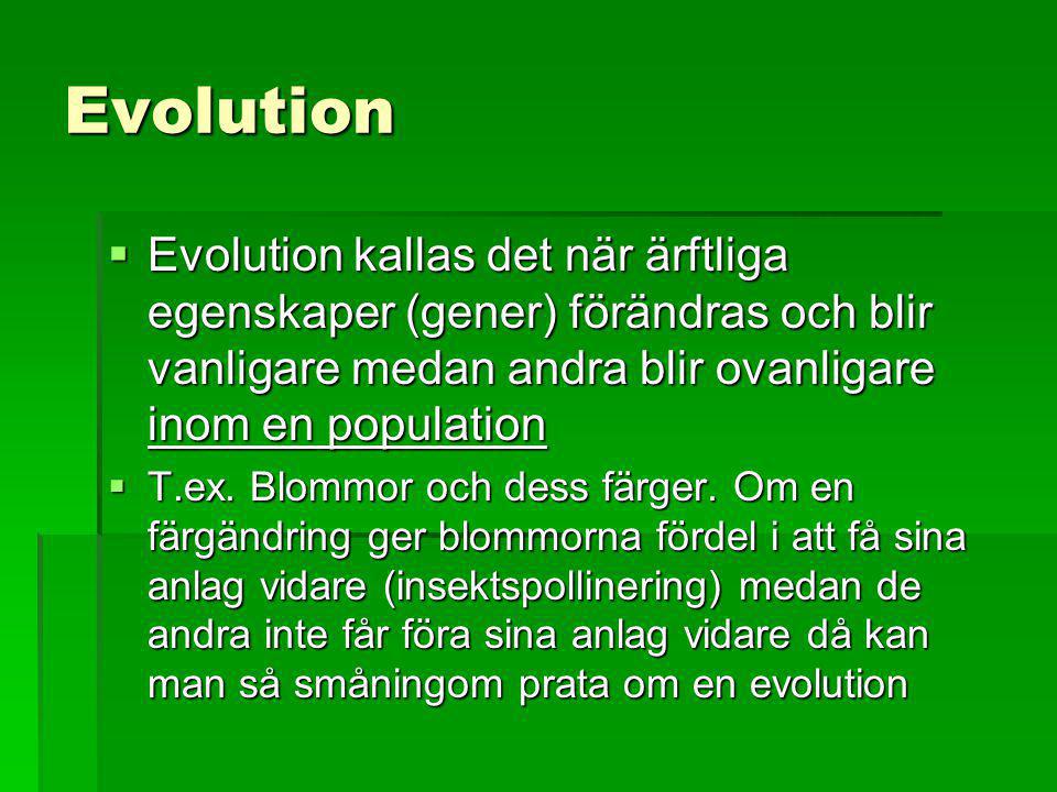 Evolution Evolution kallas det när ärftliga egenskaper (gener) förändras och blir vanligare medan andra blir ovanligare inom en population.
