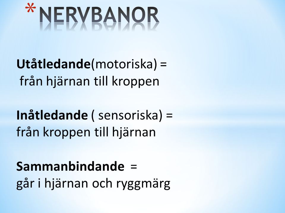 NERVBANOR Utåtledande(motoriska) = från hjärnan till kroppen