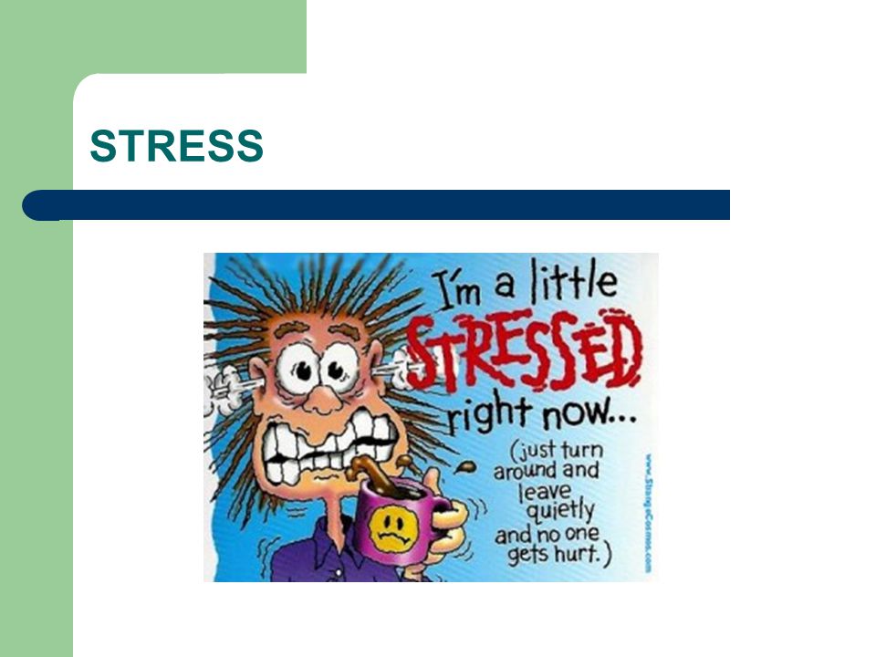 STRESS Vad kan ni sedan tidigare Vad är stress Symtom