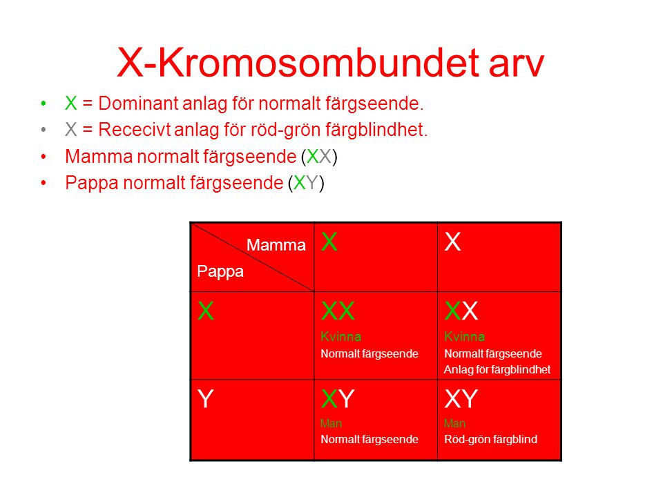 X-Kromosombundet arv Mamma X XX Y XY