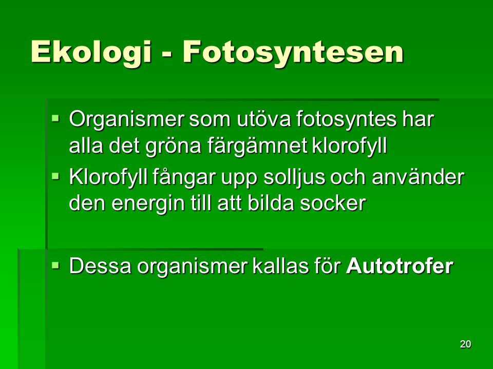 Ekologi - Fotosyntesen
