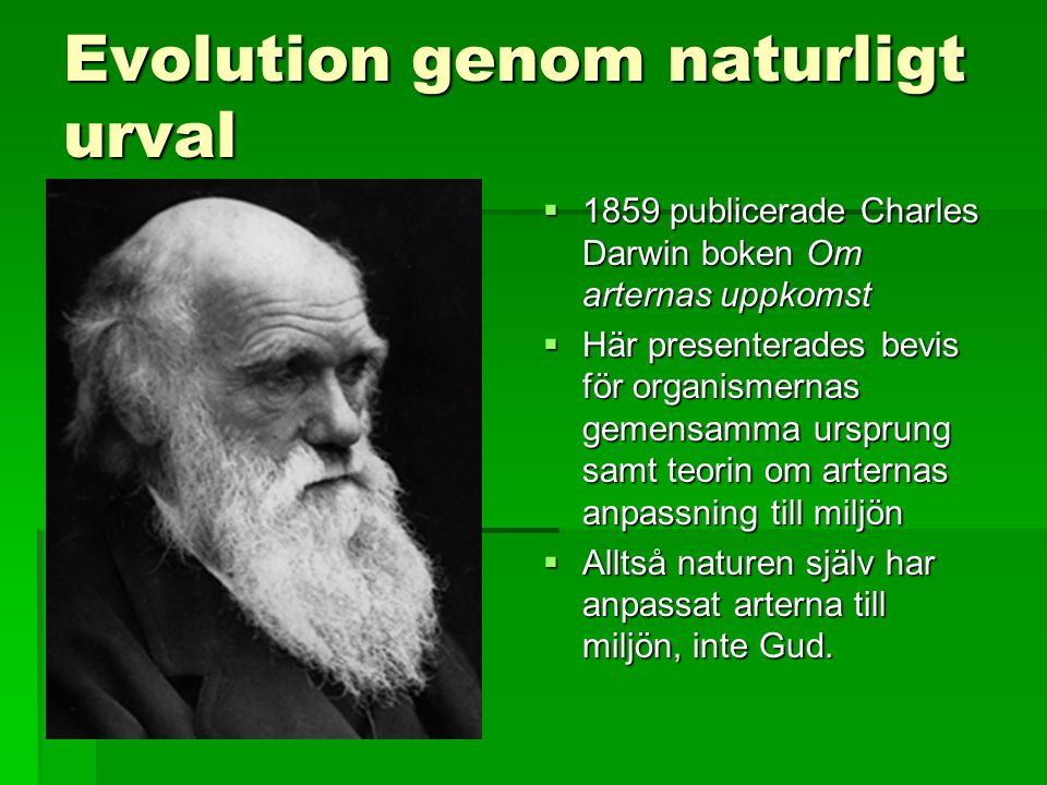 Evolution genom naturligt urval