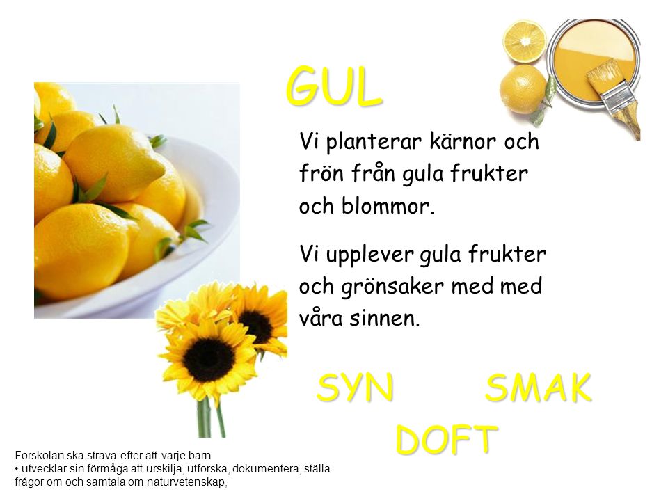 GUL SYN SMAK DOFT Vi planterar kärnor och frön från gula frukter
