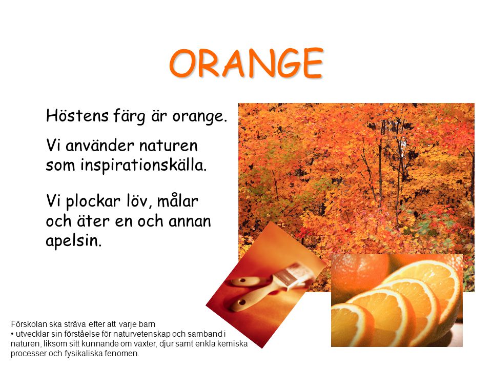 ORANGE Höstens färg är orange.