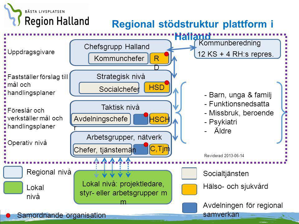 Regional stödstruktur plattform i Halland