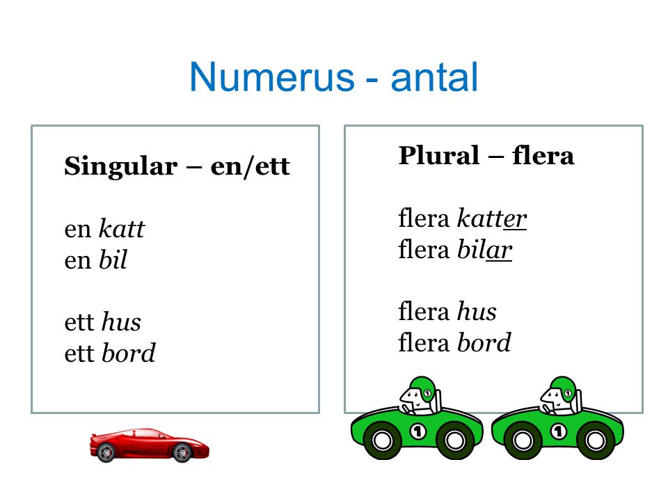 Numerus - antal Plural – flera Singular – en/ett flera katter en katt