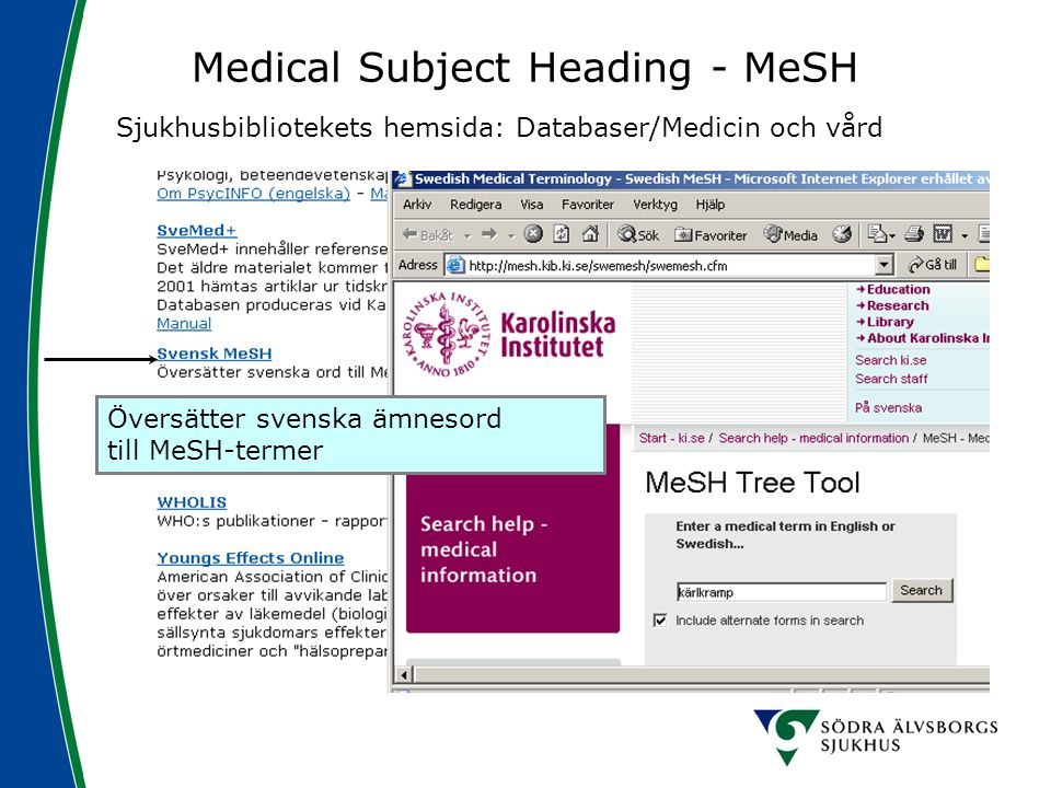 Medical Subject Heading - MeSH